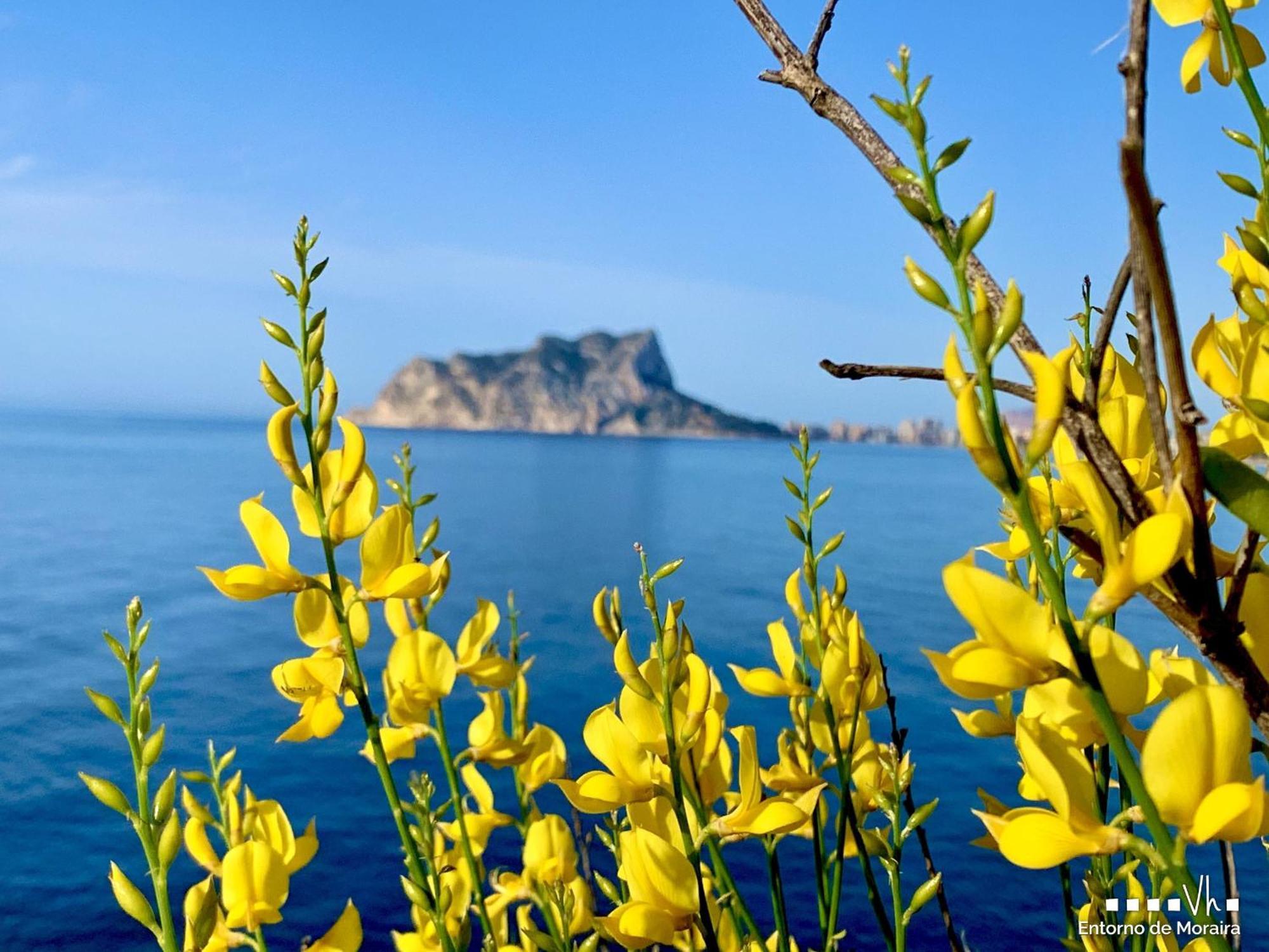 Vh Costablanca - Apartamento Riviera Морайра Экстерьер фото